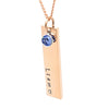 Rose Gold Birthstone Bar Necklace